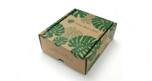 The Best Beauty Subscription Boxes You Must Try terrabella 300x161 - The Best Beauty Subscription Boxes You Must Try