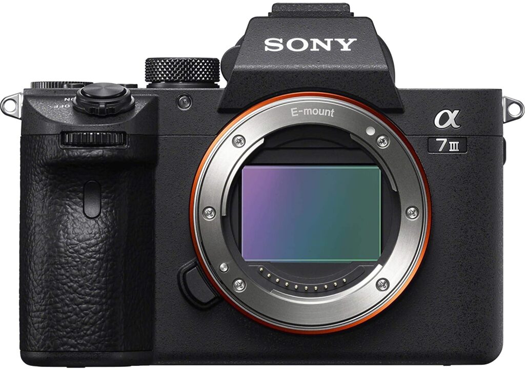 sonya7 1024x722 - What is the best camera for a budding photographer - parameters and devices