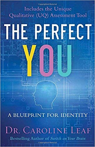 The Perfect You Workbook: A Blueprint for Identity