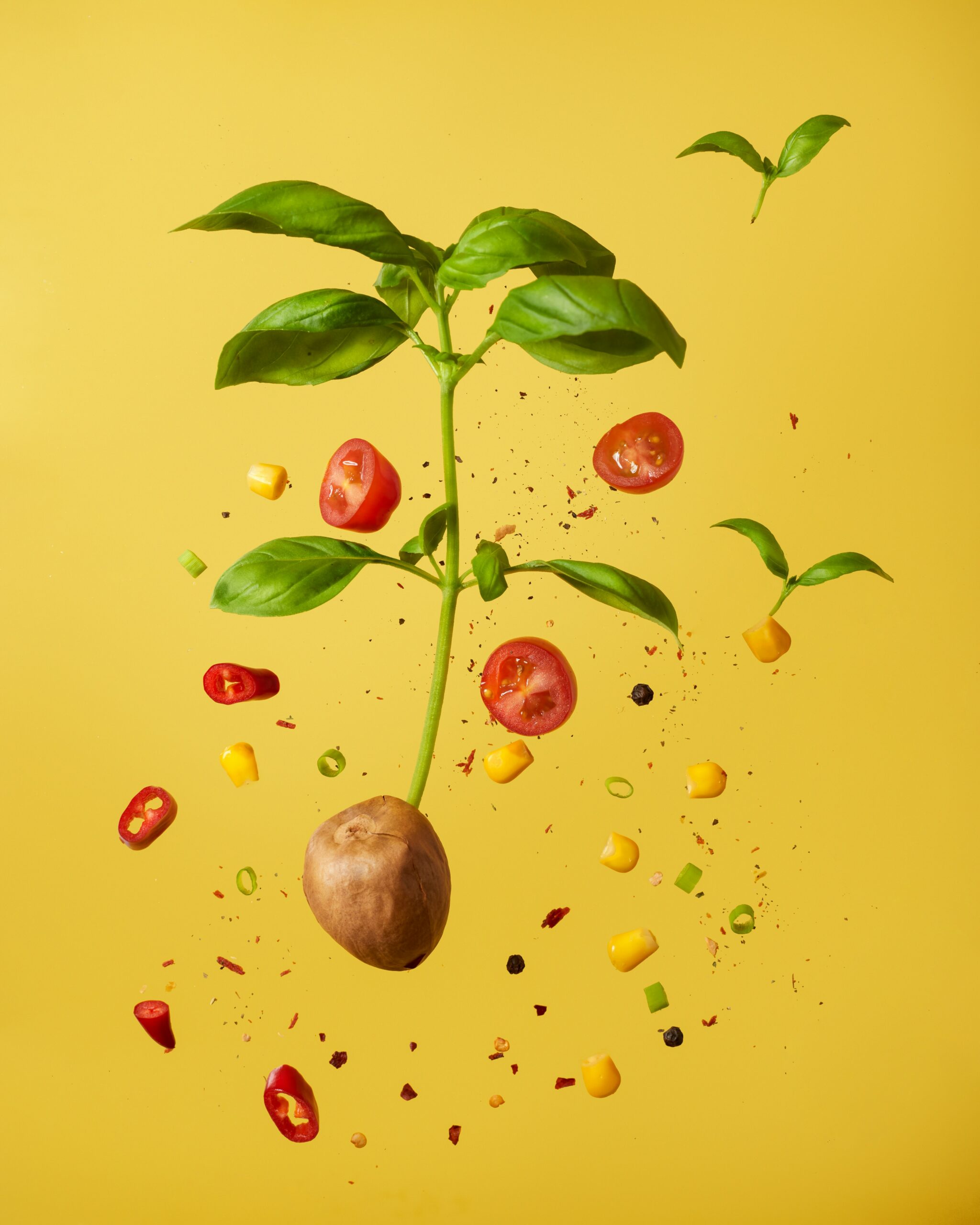 Eco-friendly haircare concept - Cosset Moi