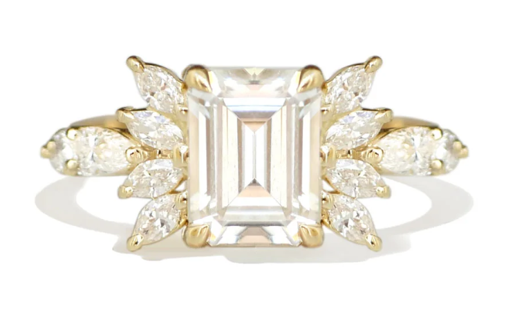 Vibrant, bold, and unforgettable — a true showstopper.