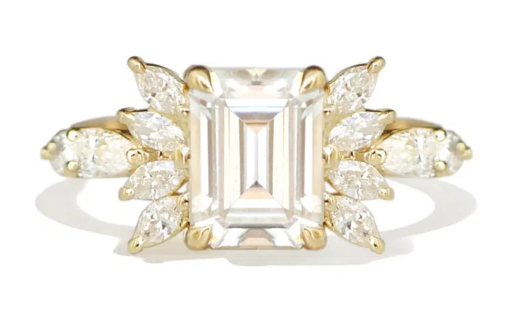 Vibrant, bold, and unforgettable — a true showstopper.