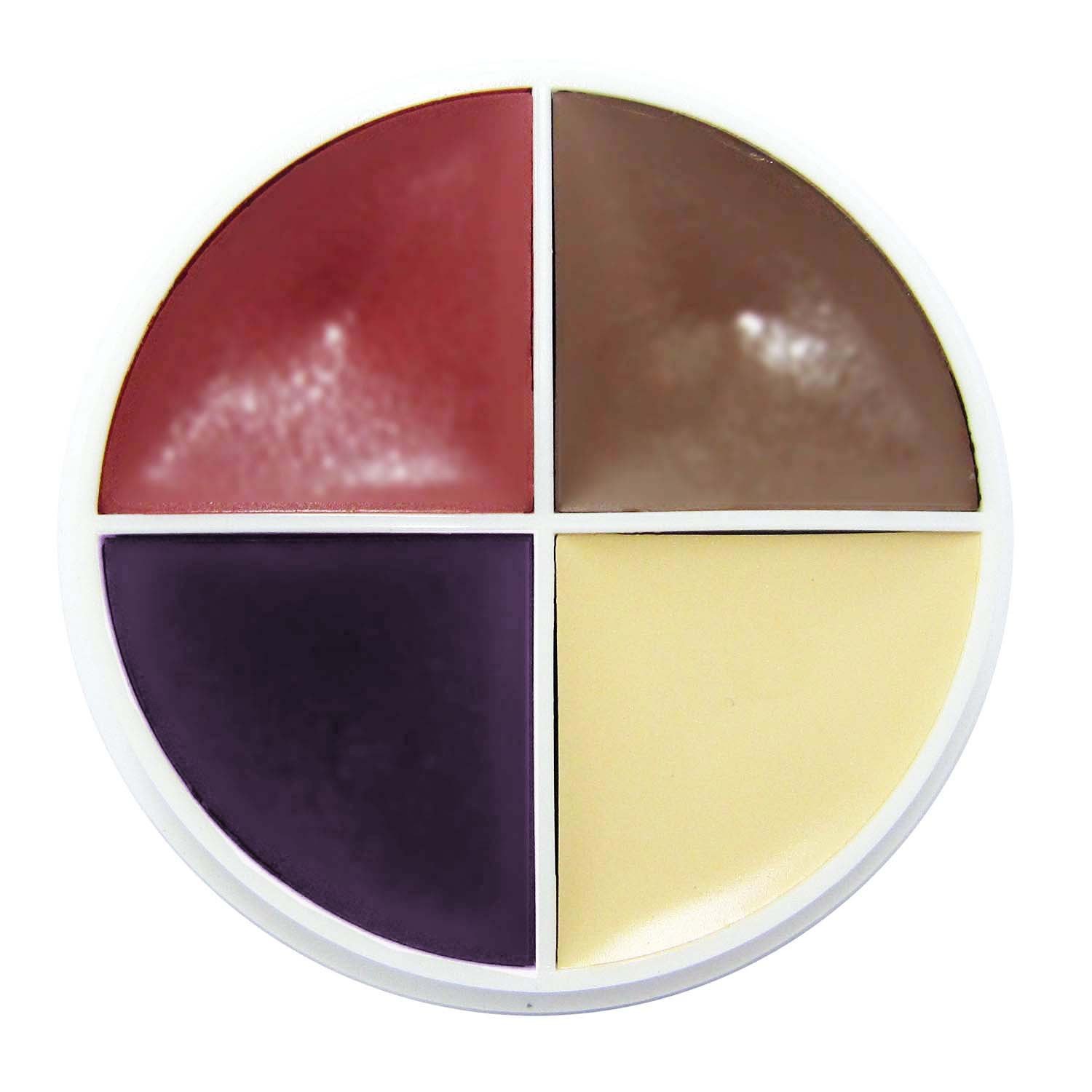 Ben Nye F/X Old Character creme color wheel